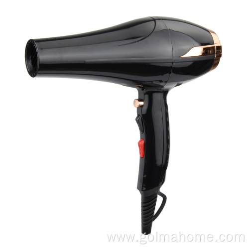 motor AC Motor Hair dryer professional hair blower